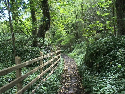 Forestry Commission Wales