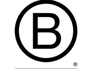 Our first year as a BCorp