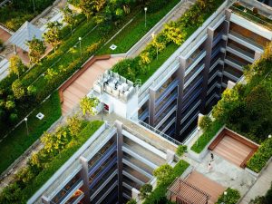 From green roofs to living walls – FULLY FUNDED training